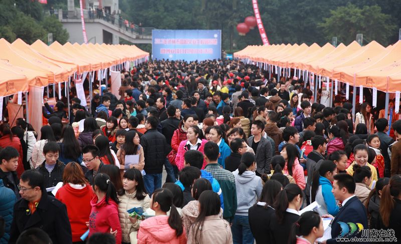 泸州：创业就业“约会”高校毕业生（图）(图1)