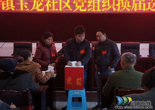 立石镇：订单式大学生村官&nbsp;参与村党总支书记竞选(图2)