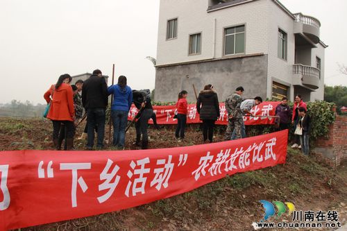 方洞镇：青年干部参加“下乡”挖红薯助农活动(图1)