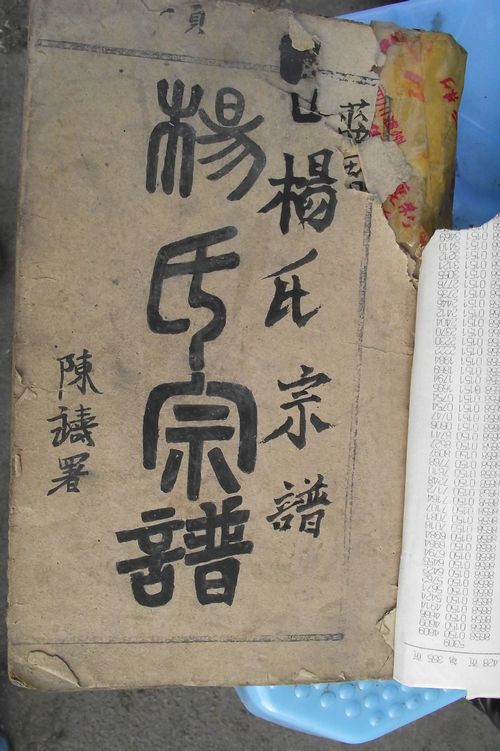 千秋忠烈杨家将后人在泸州？(图1)