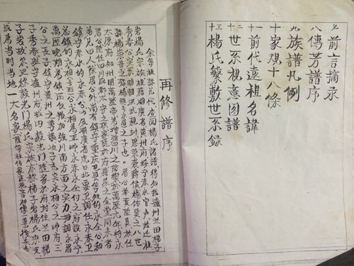 千秋忠烈杨家将后人在泸州？(图4)