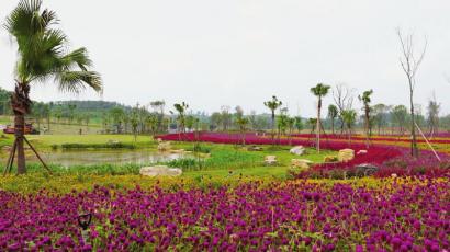 跨越釜溪河&nbsp;自贡城市向南延伸(图3)