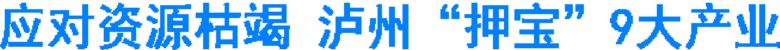应对资源枯竭，泸州“押宝”9大产业(图1)