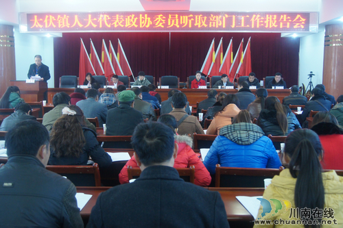 太伏镇：开展人大代表集中视察活动(图1)