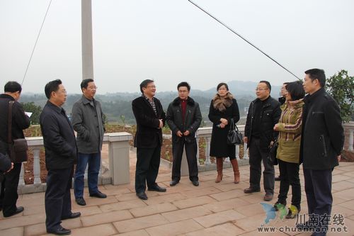 省委农工委杨秀彬一行调研合江部分乡镇(图2)