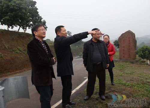 省委农工委杨秀彬一行调研合江部分乡镇(图3)