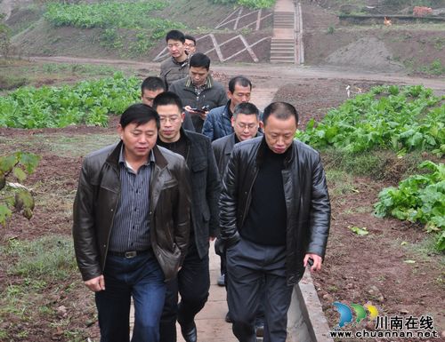 泸县县委组织部长调研云龙兆雅镇新增粮食生产能力建设项目(图1)