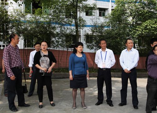 龙马潭区：教育崛起的生动实践(图1)