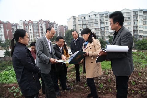 龙马潭区：教育崛起的生动实践(图7)