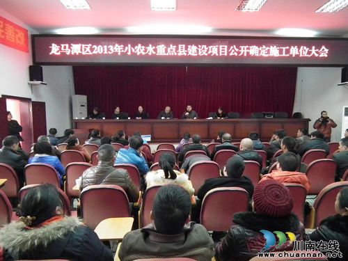 2000万元中央水利项目落户胡市镇(图1)