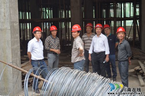 胡市镇：十大项目已完成投资5亿元(图1)