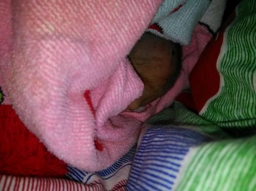 新年第一天&nbsp;宜宾早产双胞胎女婴被弃垃圾桶(图3)