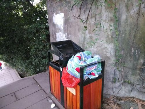 新年第一天&nbsp;宜宾早产双胞胎女婴被弃垃圾桶(图1)