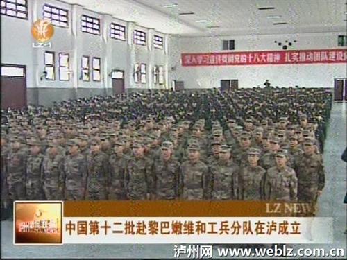 中国第十二批赴黎巴嫩维和工兵分队在泸州成立(图2)