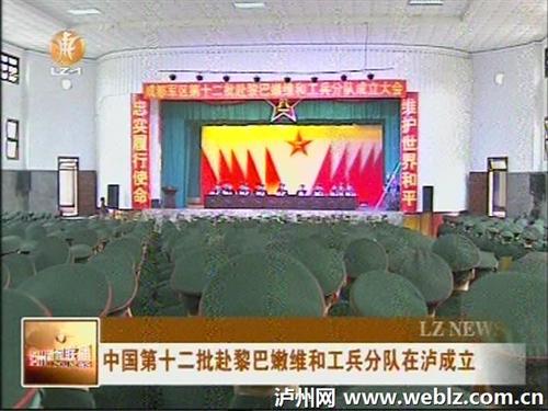 中国第十二批赴黎巴嫩维和工兵分队在泸州成立(图3)