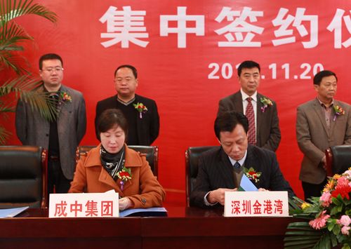 提高园区承载力 宜宾县到位资金首破百亿(图1) 提高园区承载力 宜宾县到位资金首破百亿(图1)