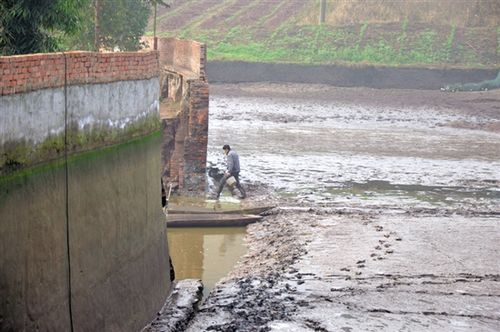 内江一鱼塘塘埂突然垮塌&nbsp;村民半夜帮忙捞回万斤鱼(图1)