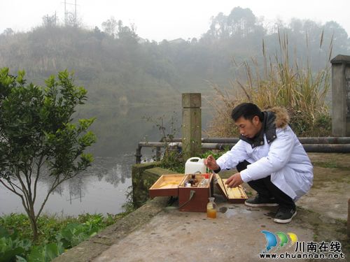 江阳区加强枯水期水环境安全监测(图1)