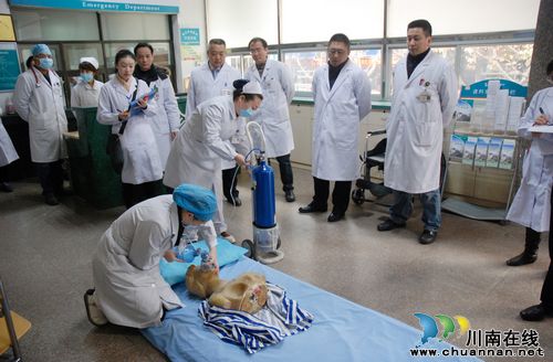 泸州医学院附属医院顺利完成三甲复查现场评审(图7)