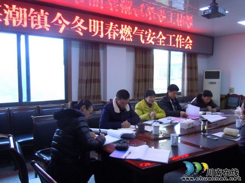 泸县联合检查组莅临海潮检查指导燃气安全工作(图1)