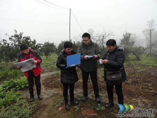 合江县2013年城乡建设用地增减挂钩试点项目通过市级初验(图1)
