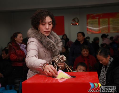 泸州：龙马潭区76个村（居）民委员会换届直选“当家人”(图1)