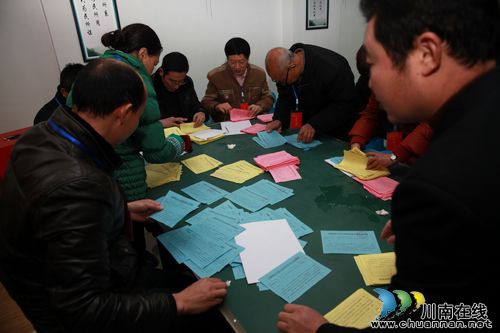 泸州：龙马潭区76个村（居）民委员会换届直选“当家人”(图3)