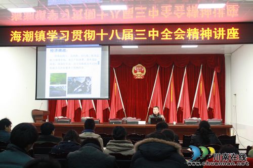 泸县宣讲团到海潮镇宣讲十八届三中全会精神(图1)