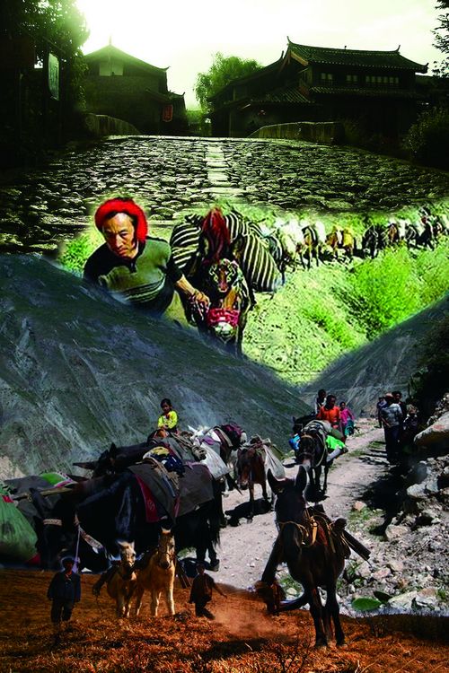 古代西南丝绸之路遗留在泸州的符号(图1)