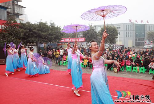 龙马潭区举行“三下乡”活动集中启动仪式(图3)