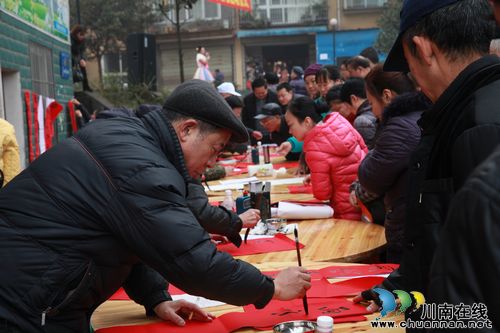 龙马潭区举行“三下乡”活动集中启动仪式(图4)