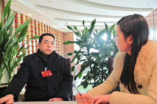 代表委员建言：川南四市今年开建城际高铁(图1)