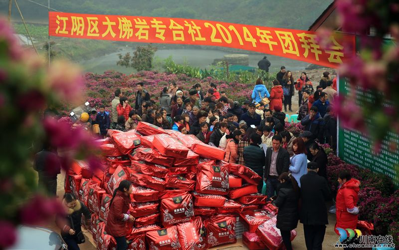 年味浓泸州:专合社农民欢聚“团年宴”(图)(图8) 年味浓泸州:专合社农民欢聚“团年宴”(图)(图8)