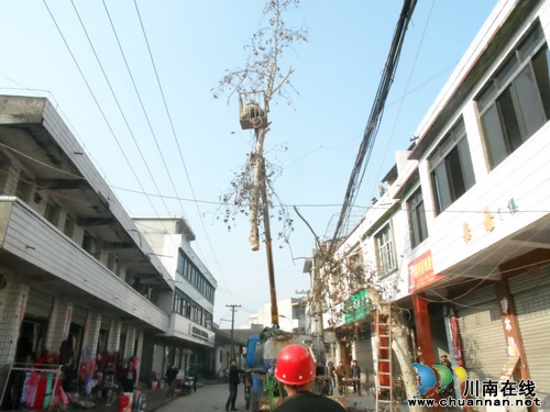 长兴镇：为场镇“绿化造型”&nbsp;积极营造新春氛围(图1)