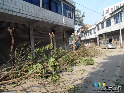 长兴镇：为场镇“绿化造型”&nbsp;积极营造新春氛围(图2)