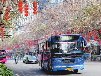 川南四市新春活动精彩纷呈