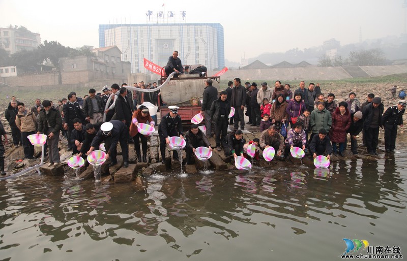 生态保护泸州:13万尾珍惜保护鱼苗放流长江(图1) 生态保护泸州:13万尾珍惜保护鱼苗放流长江(图1)