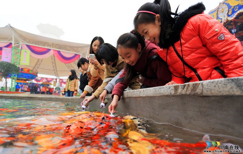 泸州:酒城乐园开门迎新年 大人小孩游玩嗨翻天(图7) 泸州:酒城乐园开门迎新年 大人小孩游玩嗨翻天(图7)