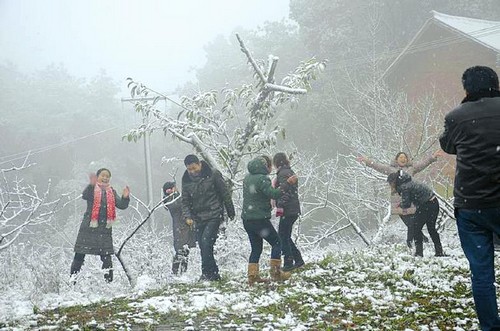 气温持续走低&nbsp;川南四城迎马年首场大雪（图）(图1)