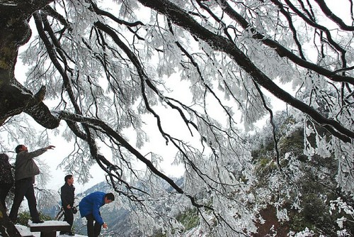 气温持续走低&nbsp;川南四城迎马年首场大雪（图）(图2)