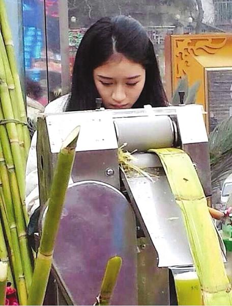 自贡“甘蔗西施”走红 纯粹是春节回家帮忙(图2) 自贡“甘蔗西施”走红 纯粹是春节回家帮忙(图2)