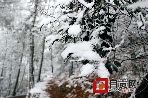 自贡初雪&nbsp;游人涌入高石梯尽享冰雪乐趣