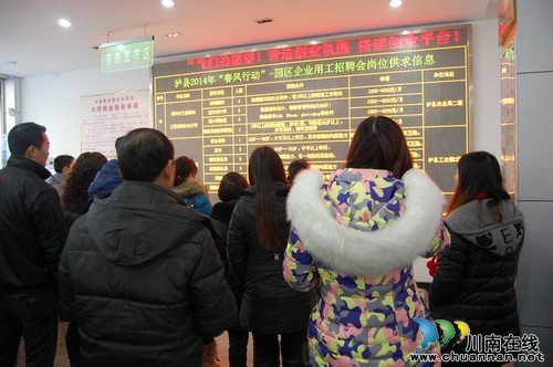 泸县开展“春风行动”企业用工现场招聘会(图2)