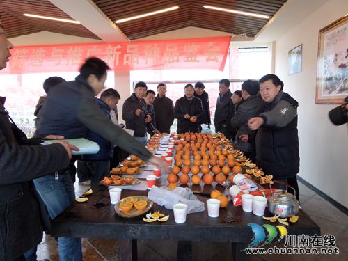泸县组织人员参加重庆市引进筛选与推广新品种品鉴会