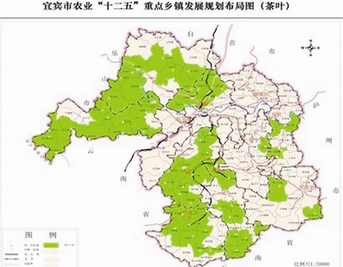 融入川茶千亿目标 宜宾产业“问道”(图1) 融入川茶千亿目标 宜宾产业“问道”(图1)