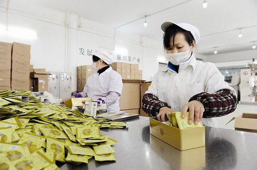 融入川茶千亿目标 宜宾产业“问道”(图2) 融入川茶千亿目标 宜宾产业“问道”(图2)