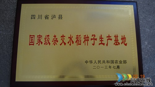 泸县“国家级杂交水稻种子生产基地县”获农业部授牌(图2)