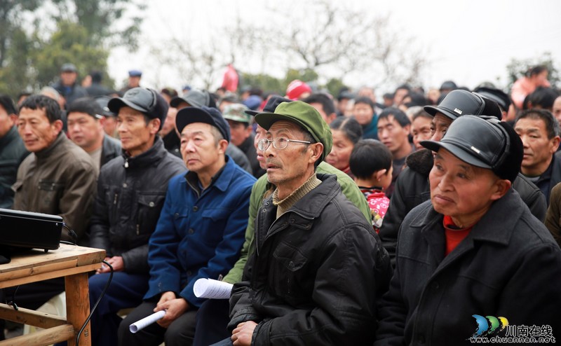 泸州:农业项目赶早春(图3) 泸州:农业项目赶早春(图3)