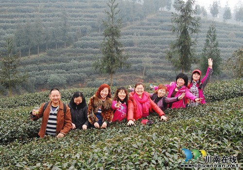 中国·四川第二届茶叶开采活动周在纳溪举行(图7) 中国·四川第二届茶叶开采活动周在纳溪举行(图7)