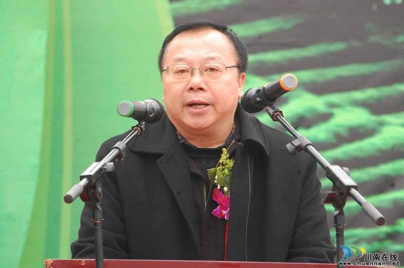 高清大图纳溪·采茶节(图7) 高清大图纳溪·采茶节(图7)